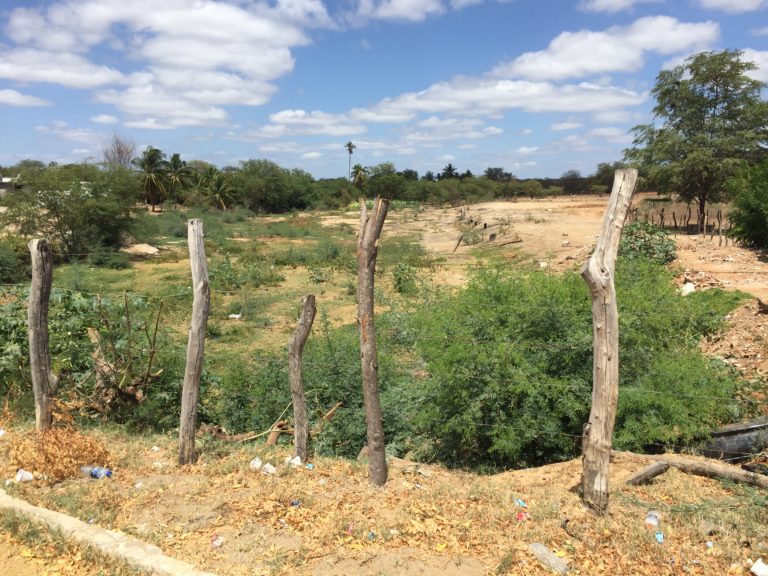 The Brazilian Sertao - Northeast Brazil - Harvest100Fold.com