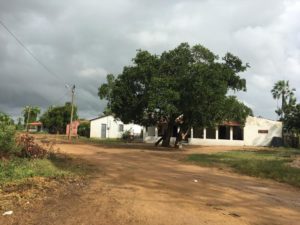 Lagoa Grande- Alto Santo- Ceara, Brazil