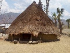 East Timor Traditional Houses 2